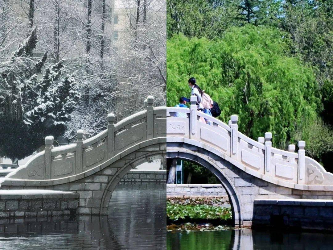 快来围观当鲁东大学的夏天遇见冬天是什么样子