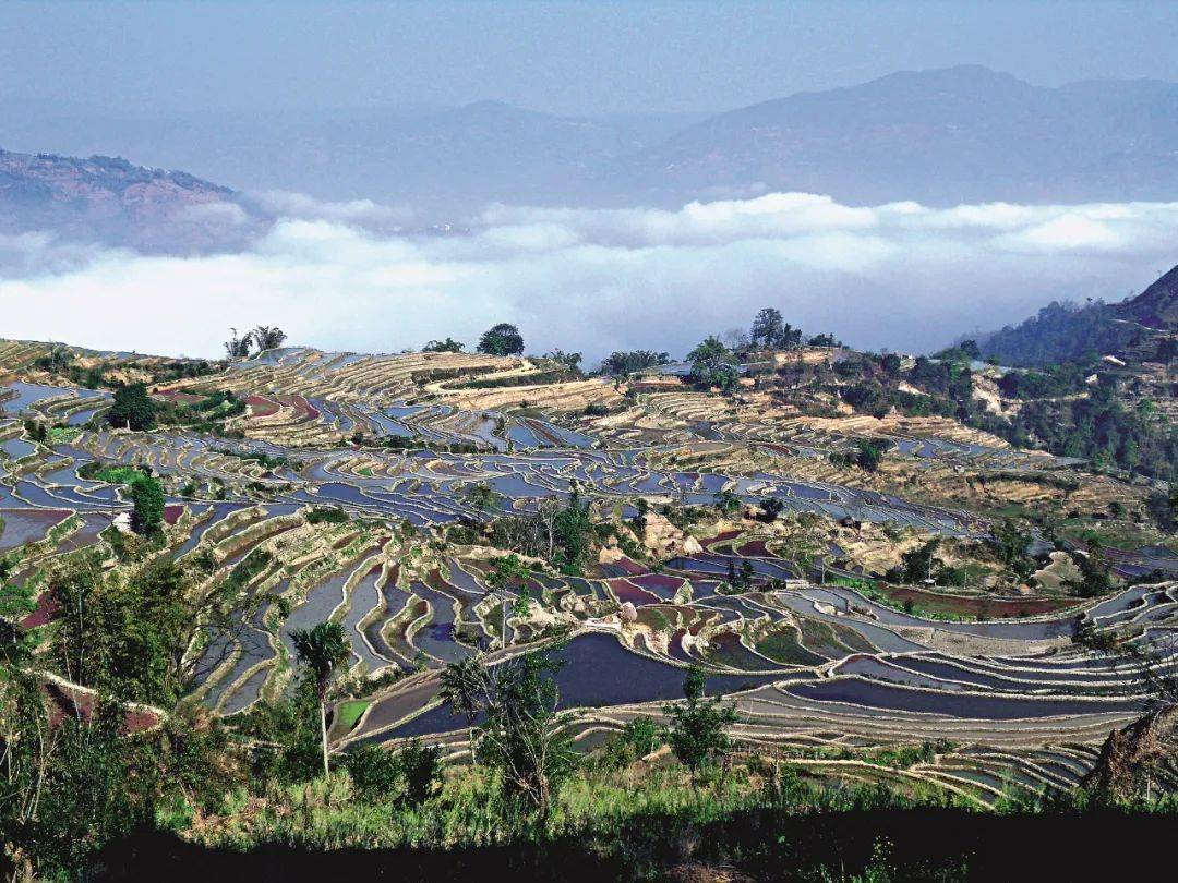 红河哈尼梯田文化景观