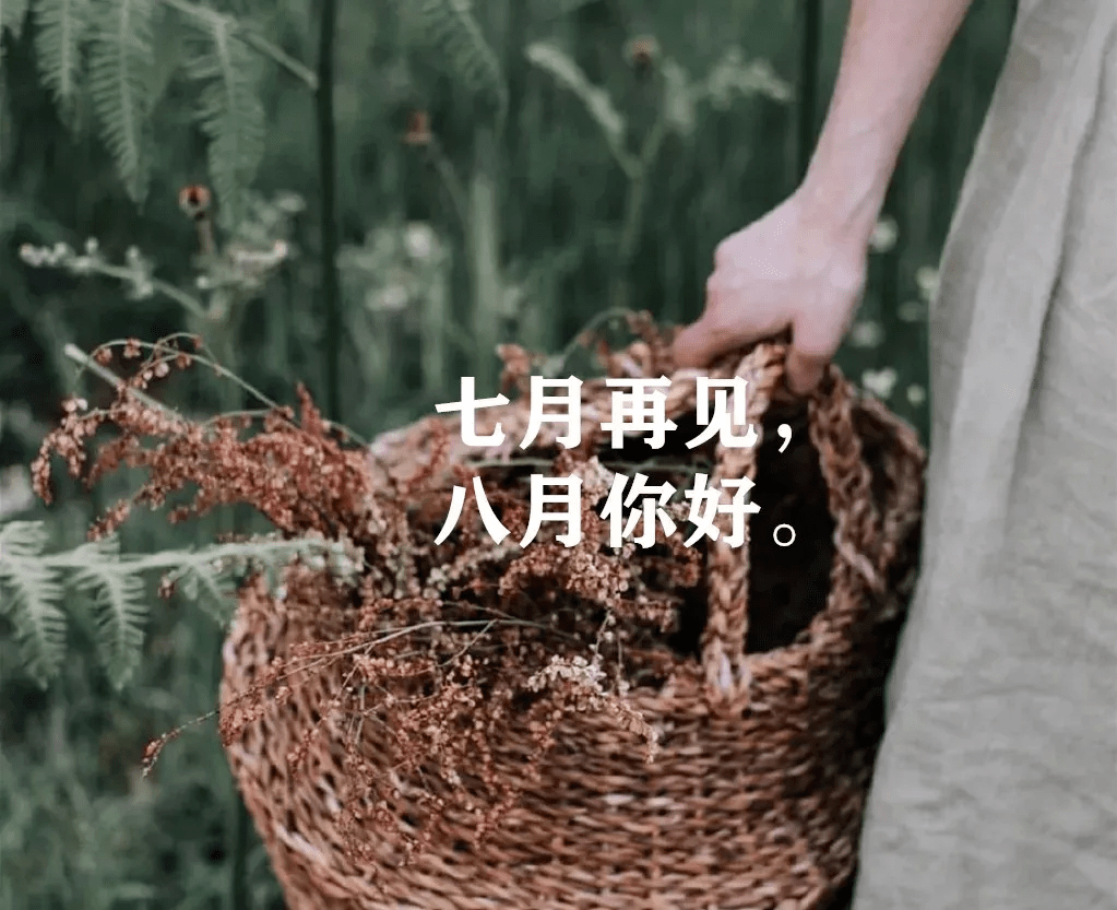 再见七月,你好八月