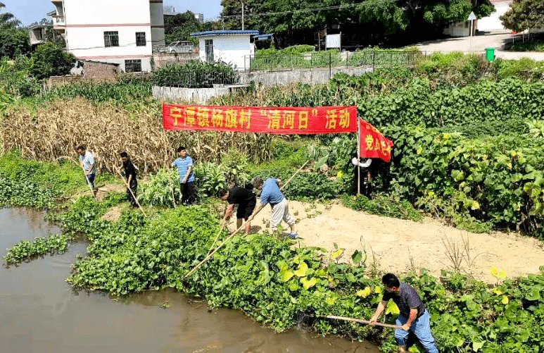 博白县宁潭镇 开展"红旗护绿"活动,以党建引领保护"绿水青山"