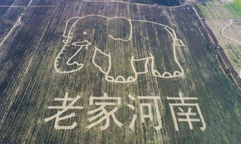气候逆转,中国将重回汉唐_河南