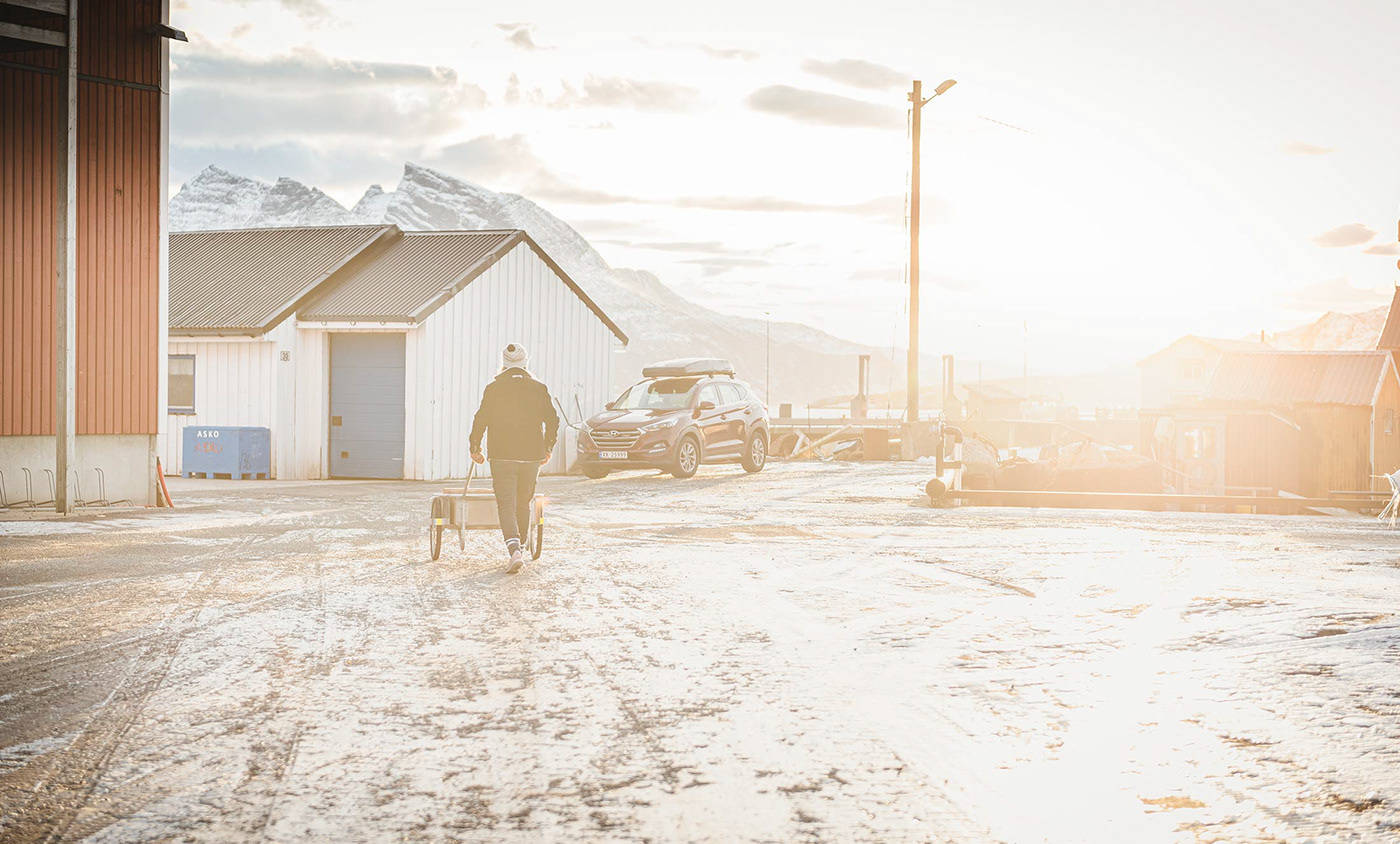 Seaweed|平面设计 | Sjy Seaweed 海藻素食品牌形象设计