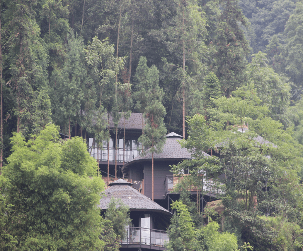 旅博动态乐山这30家精品民宿别拦我让我去