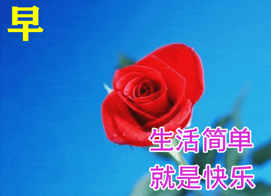 最漂亮早上好动态表情图片大全,早晨好动图美图大全