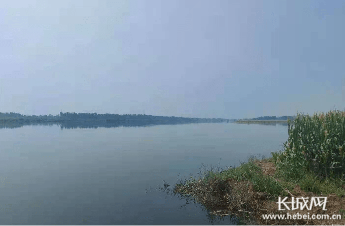 漳卫新河持续高水位大流量行洪 沿线各地确保河道行洪通畅安全