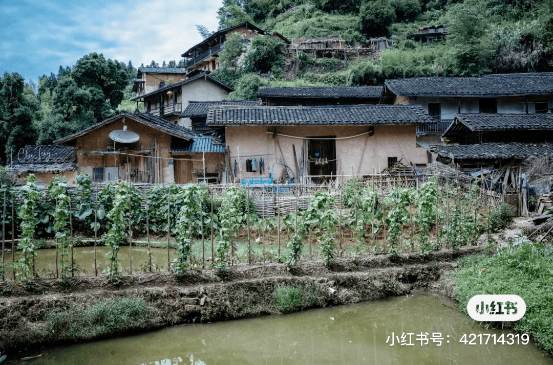 丁屋岭吸引游客的不止是原生态的客家建筑,最重要的是这里有山有水却