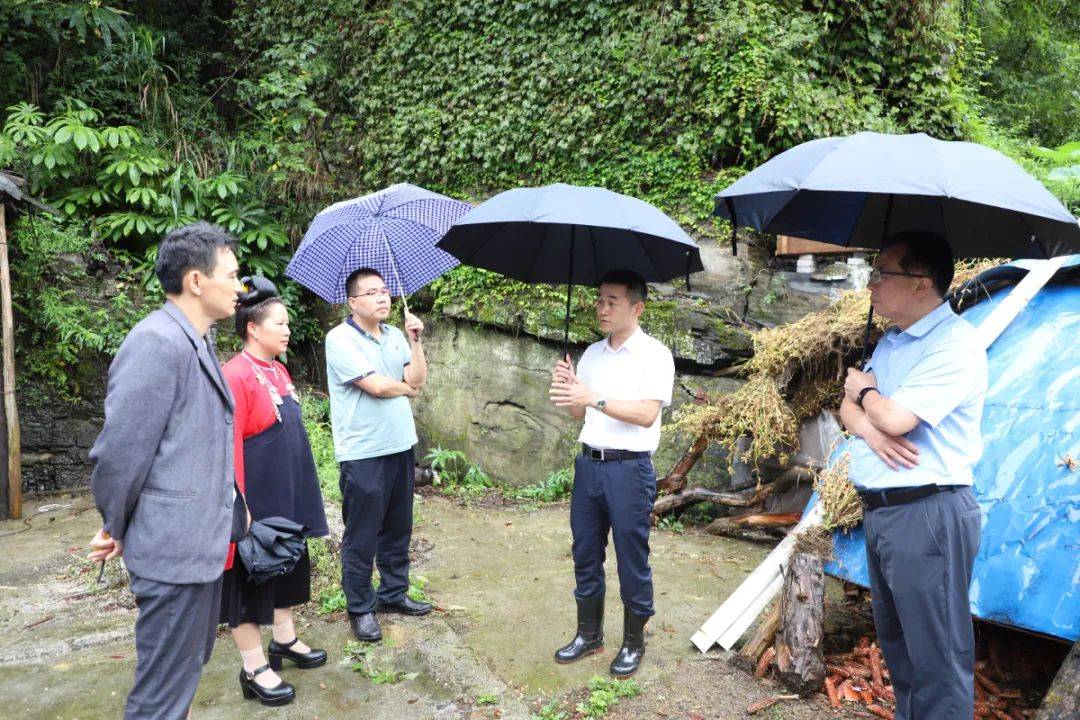 龙滨到扬武镇调研地质灾害防治工作