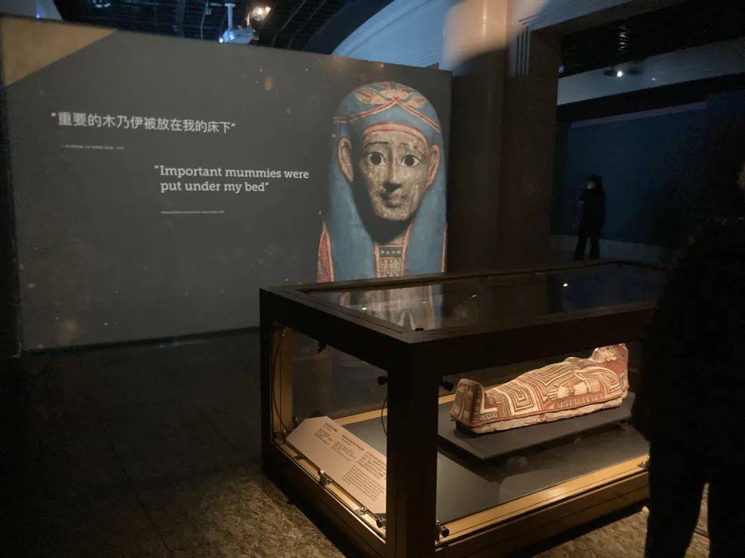 黄金木乃伊中国首次大规模展出,超百件文物带您领略古埃及文化_展览