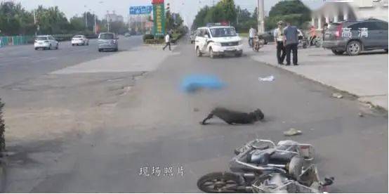 河南一女子车祸身亡,细节离奇!交警火眼金睛:这是二次