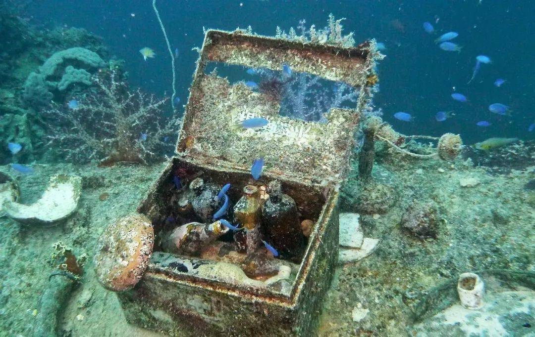 潜水爱好者一生必去的南太平洋海底,居然隐藏着这些宝藏?