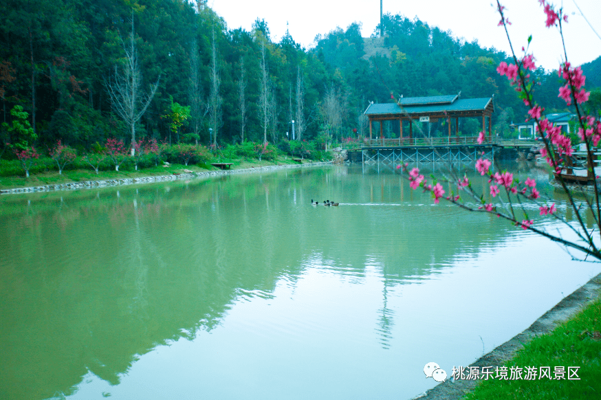 抓住暑期的尾巴,桃源乐境免门票了!_旅游