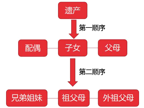 妇联喊你来学法关于非婚生子女继承权