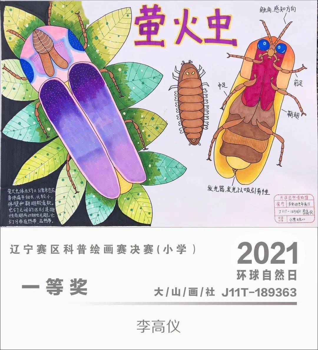 环球自然日2021辽宁赛区科普绘画赛优秀作品赏析