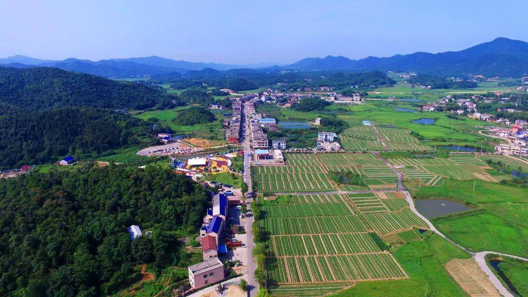 游在岳麓 ‖ 雨敞坪吃住玩一条龙攻略大放送!