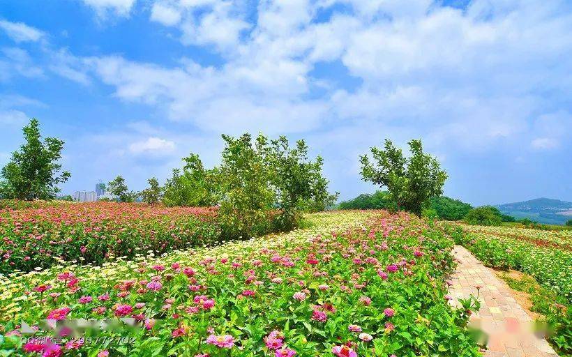 ◣九岳视界◥花海密林山谷小溪童话世界花溪谷