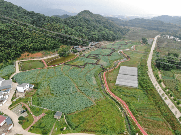 鄱湖杯水利建设先进县德安篇隆平故里今更美