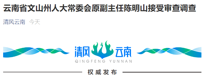 云南省文山州人大常委会原副主任陈明山接受审查调查