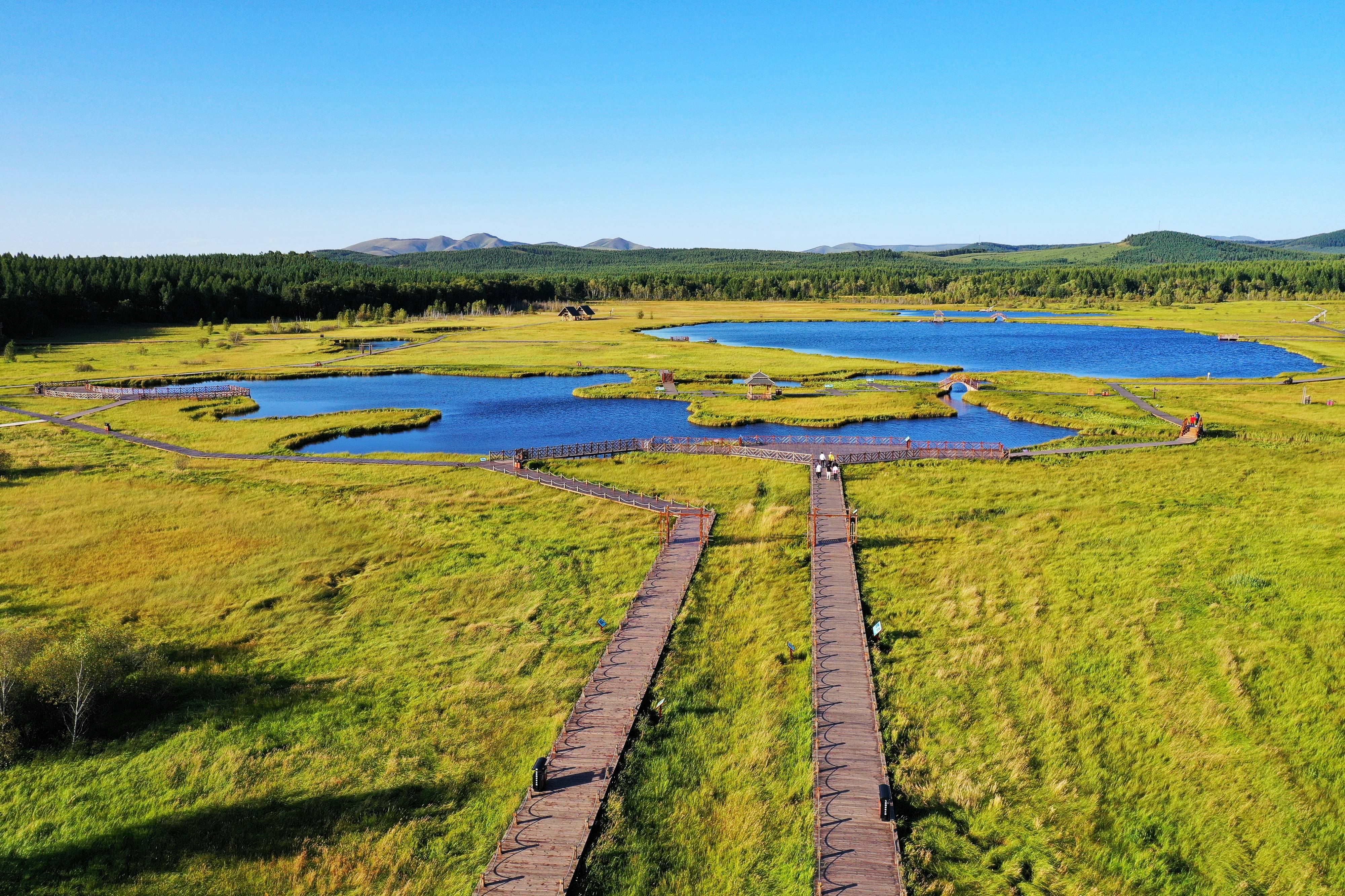 塞罕坝机械林场七星湖景区(8月22日摄,无人机照片.