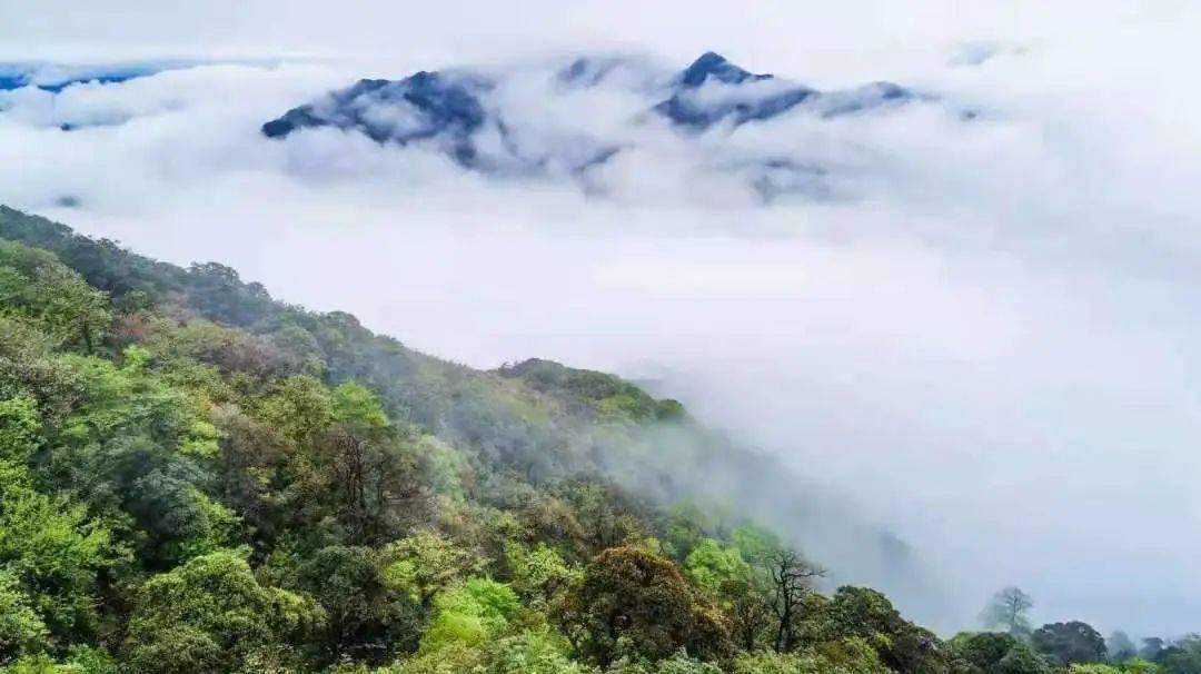 素有"岭南美后第yi峰"之称的皇后山 坐落于连山壮族瑶族自治县禾洞镇