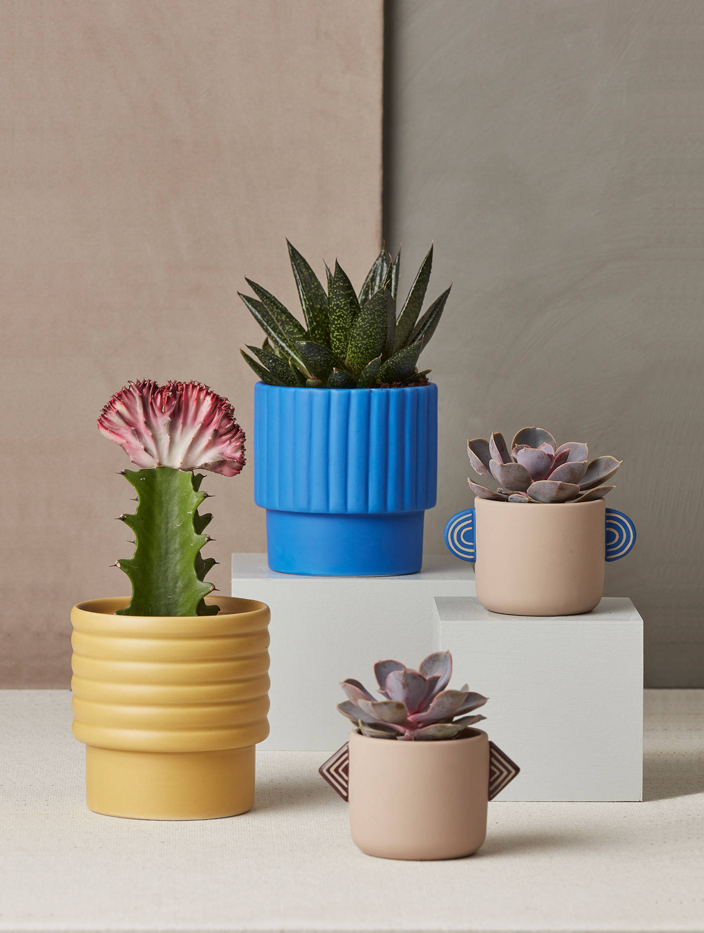 视觉|平面设计 | Dymak 家居和园艺配件品牌形象设计