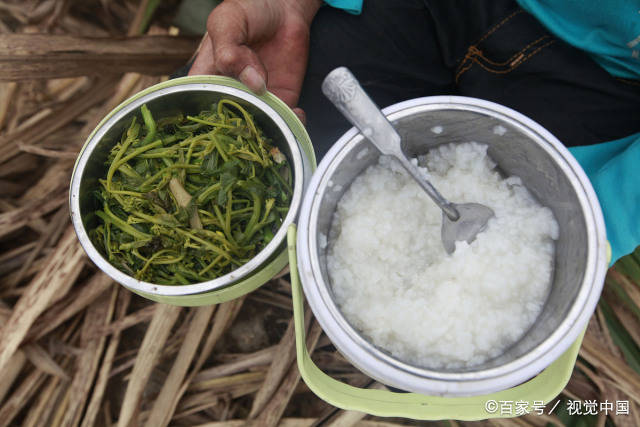安全线|激活胰岛素的冠军，不是苦瓜，没事敞开喝，血糖慢慢退回安全线
