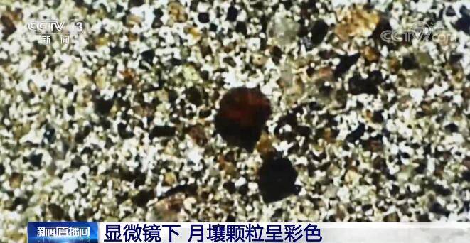 显微镜|样品分几种？你见过显微镜下的月壤吗？记者揭秘“月上来客”