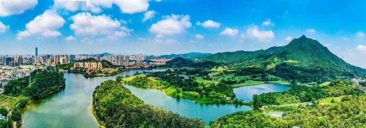 东莞长安:绘就新蓝图!奋力谱写长安高质量发展新篇章