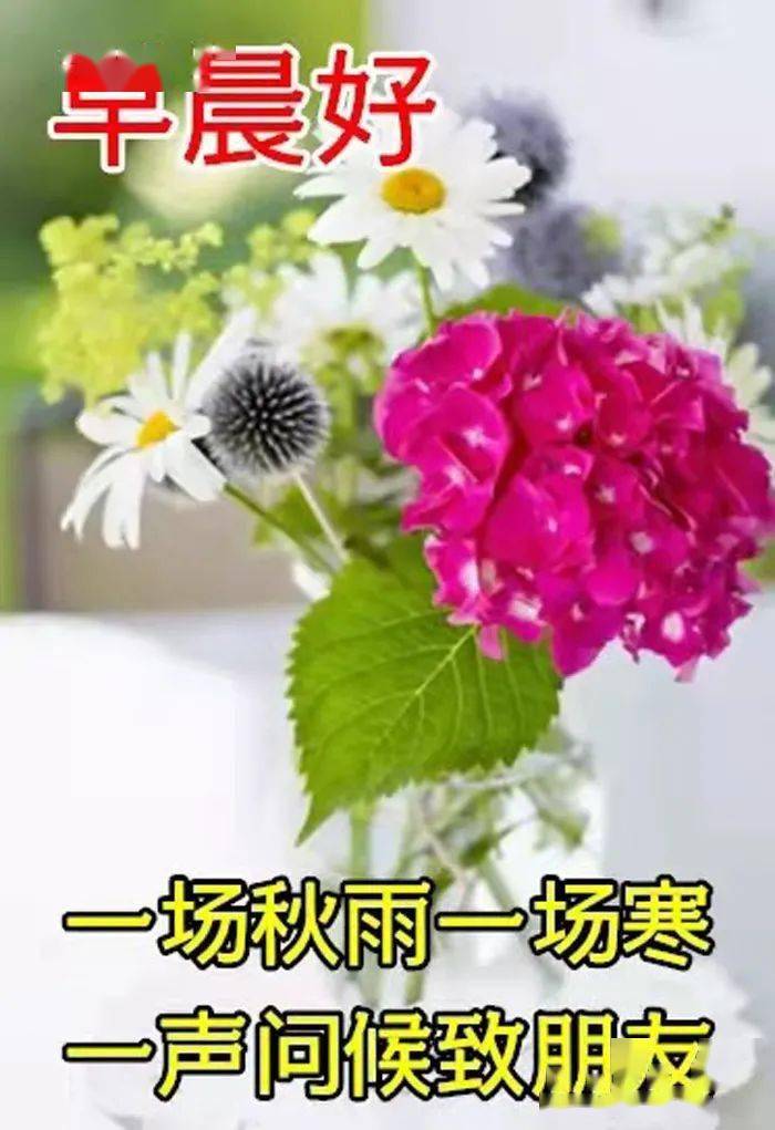 早安愉快!愿您天天好心情