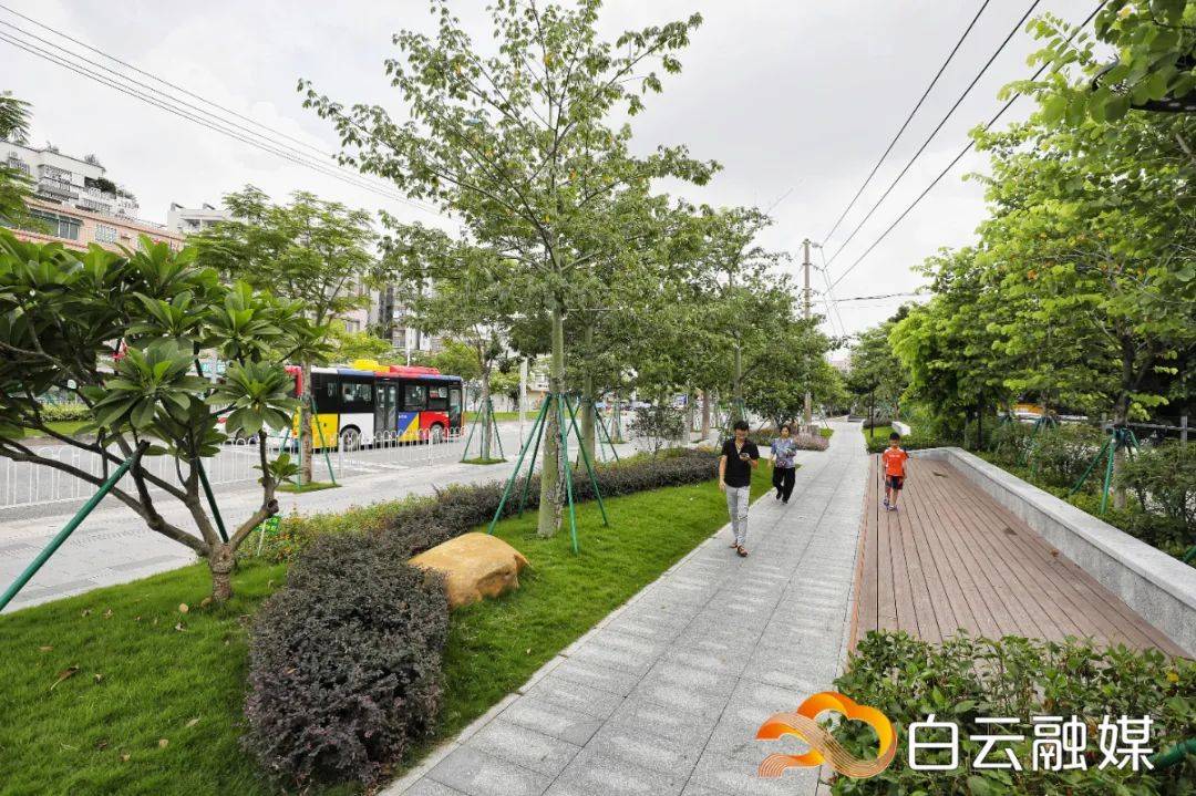 美了美了50个高颜值口袋公园快藏不住了