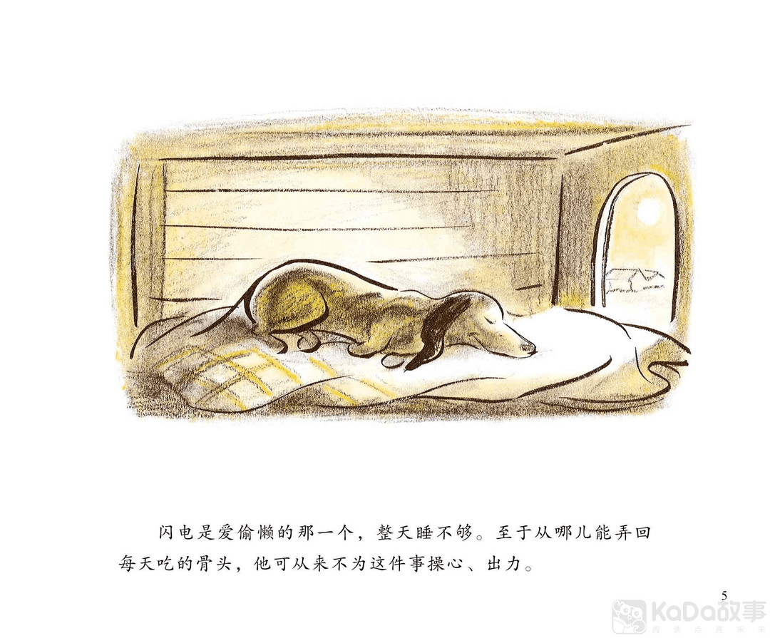 【云端优阅故事会|第66期】《闪电信使》
