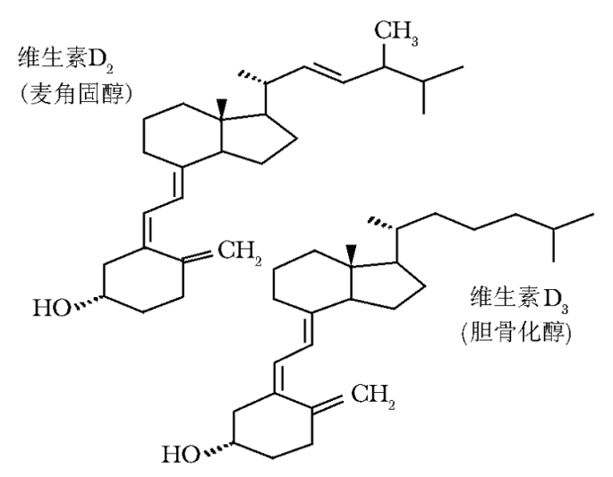 维生素d 结构