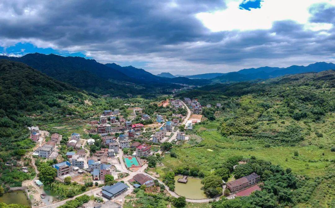 少林村你是我误入的桃花源