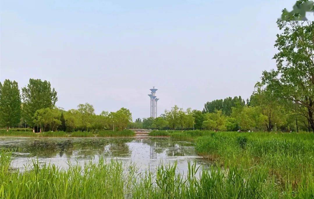 北京十大湿地公园,观鸟,垂钓,骑行.现在去刚刚好!