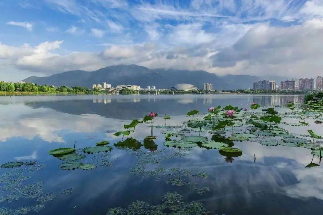 泵站促流,促使水体常年流动,释放水活力;从上游的牛头山水库引进活水