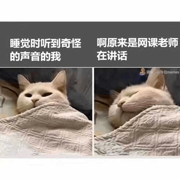 漫说大学生上网课行为图鉴