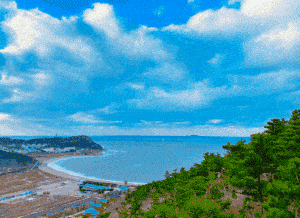 =风 雨依旧,长岛的秋天来了