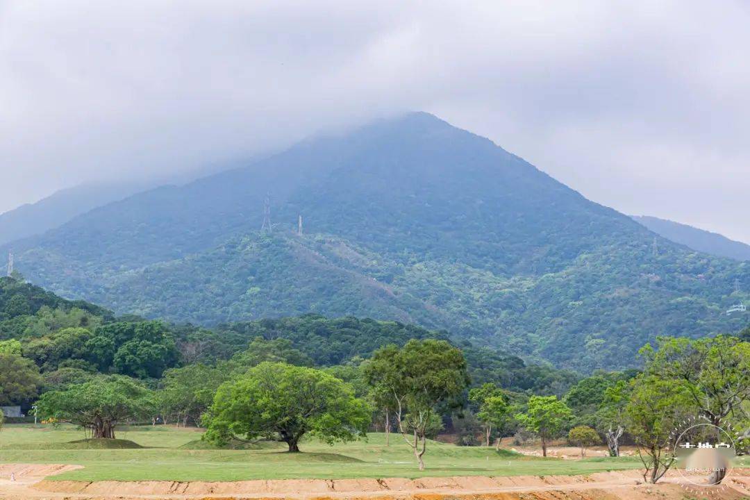 恩上湿地公园 盐田半山公园带有多个公园及观景平台,恩上湿地公园便是