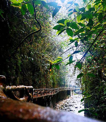 四川达州巴山大峡谷邀请教师享受十里不同天