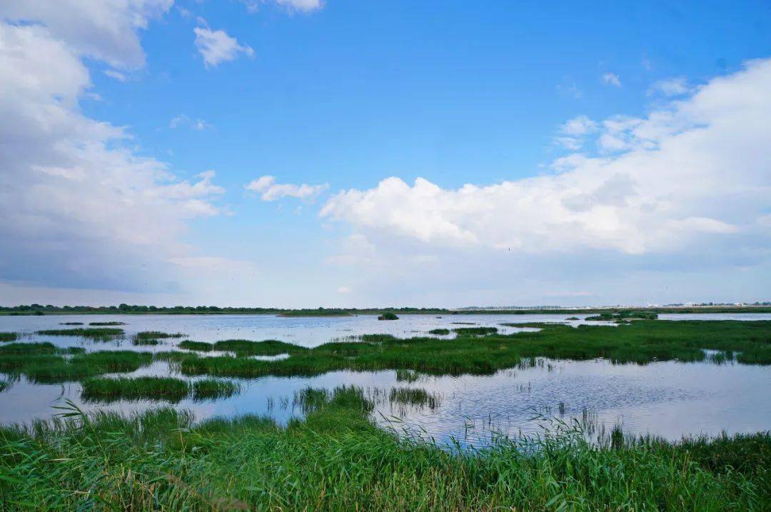 陪我在包头段的南海湿地——"塞外西子"走一走吧