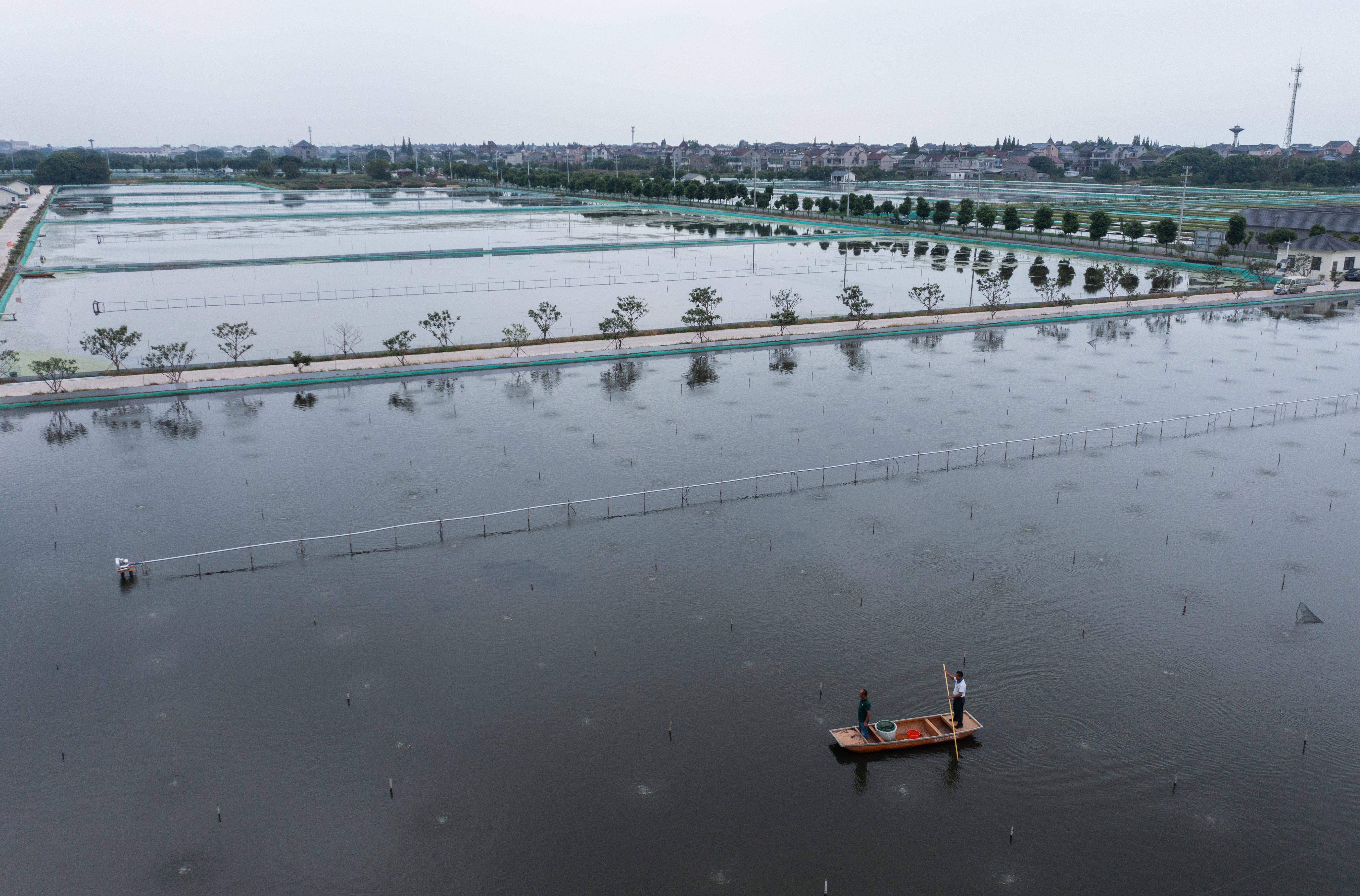 浙江湖州:推进特色生态水产养殖 助力乡村共同富裕