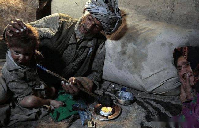 实拍阿富汗儿童采收罂粟果汁,这些孩子把毒品当做零食