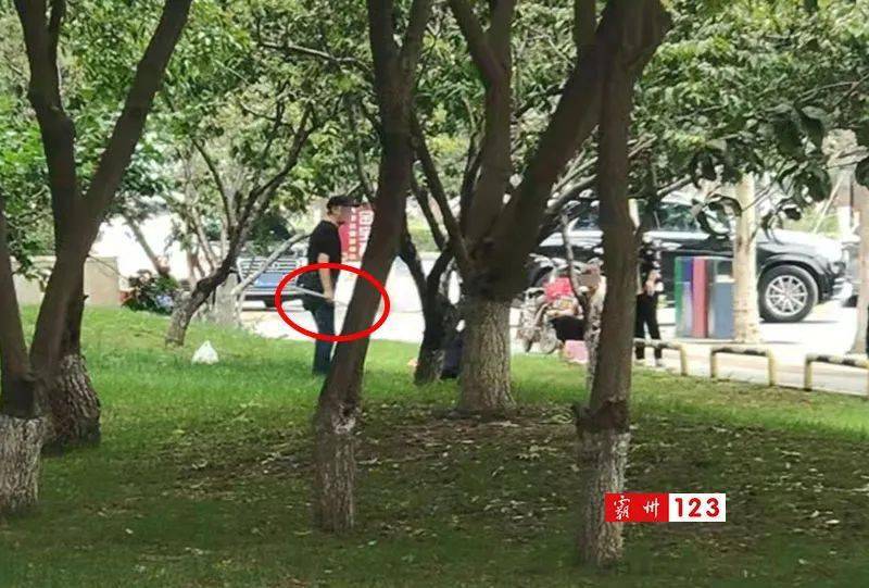 其实类似的行为不仅在公园里有,在霸州路边的绿化带里也存在.