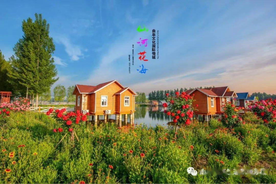 老师们,济宁这些景区邀您免费游!_花海
