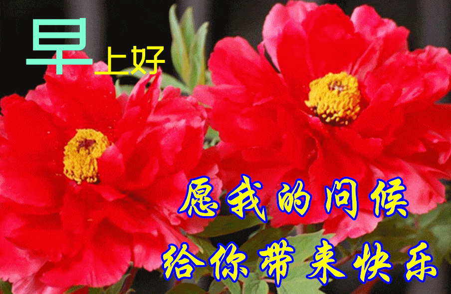【早安馨语】让幸福快乐一路相伴,让健康平安一路随行
