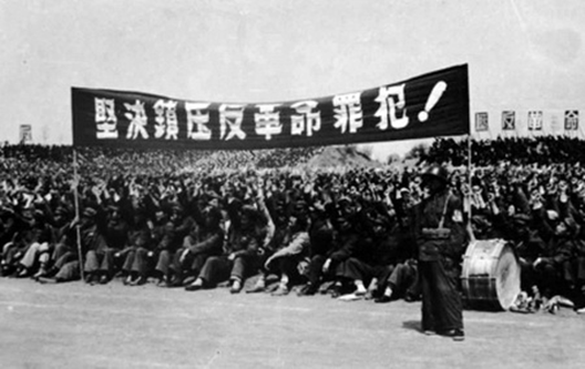 在进行土地改革的同时,全国还大张旗鼓地开展了镇压反革命运动.