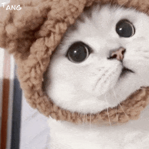 怼人斗图表情包:沙雕群聊怼人斗图必备