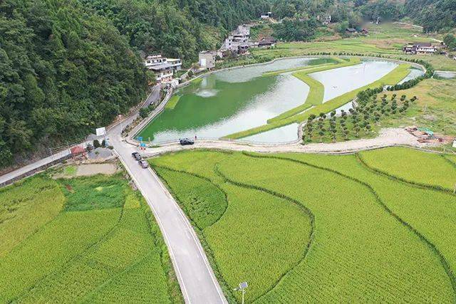 9月3日,在彭水苗族土家族自治县岩东乡屵山村10组,何光林正在池塘边