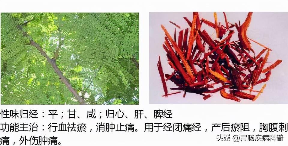 马钱科,马钱属乔木三棱别名:荆三棱,光三棱莪术别名:蓬莪术,蓬术,广术