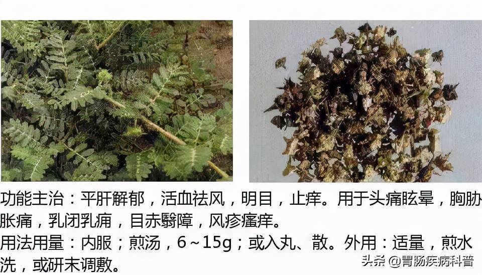 全网最全的中草药图谱——图片 性味归经 主治功效,还