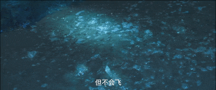 假如你要去鬼吹灯之云南虫谷冒险